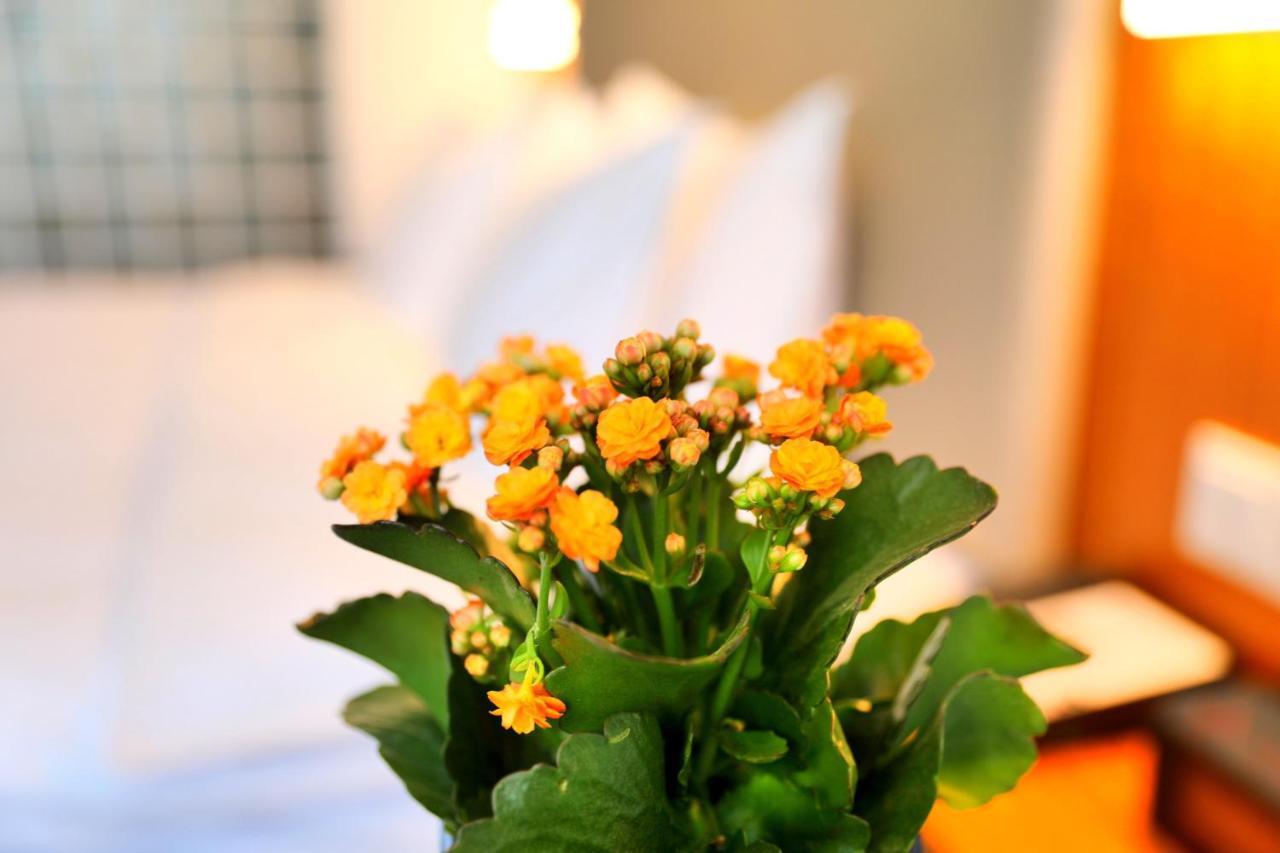Holiday Inn Express Luoyang Xiyuan Dış mekan fotoğraf